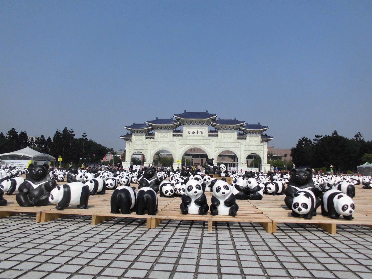 Lindo ataque de panda 7